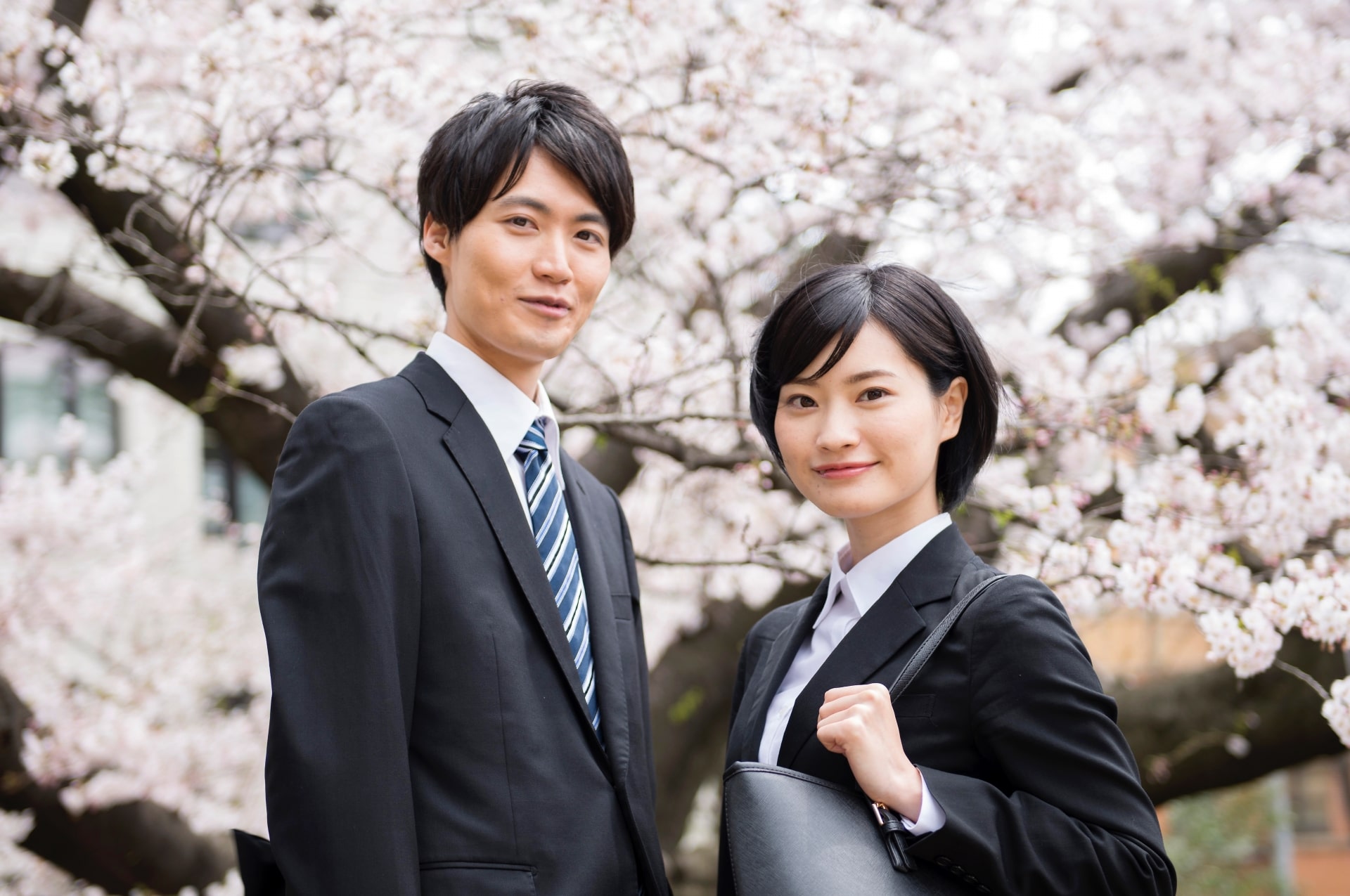 web site、社会問題