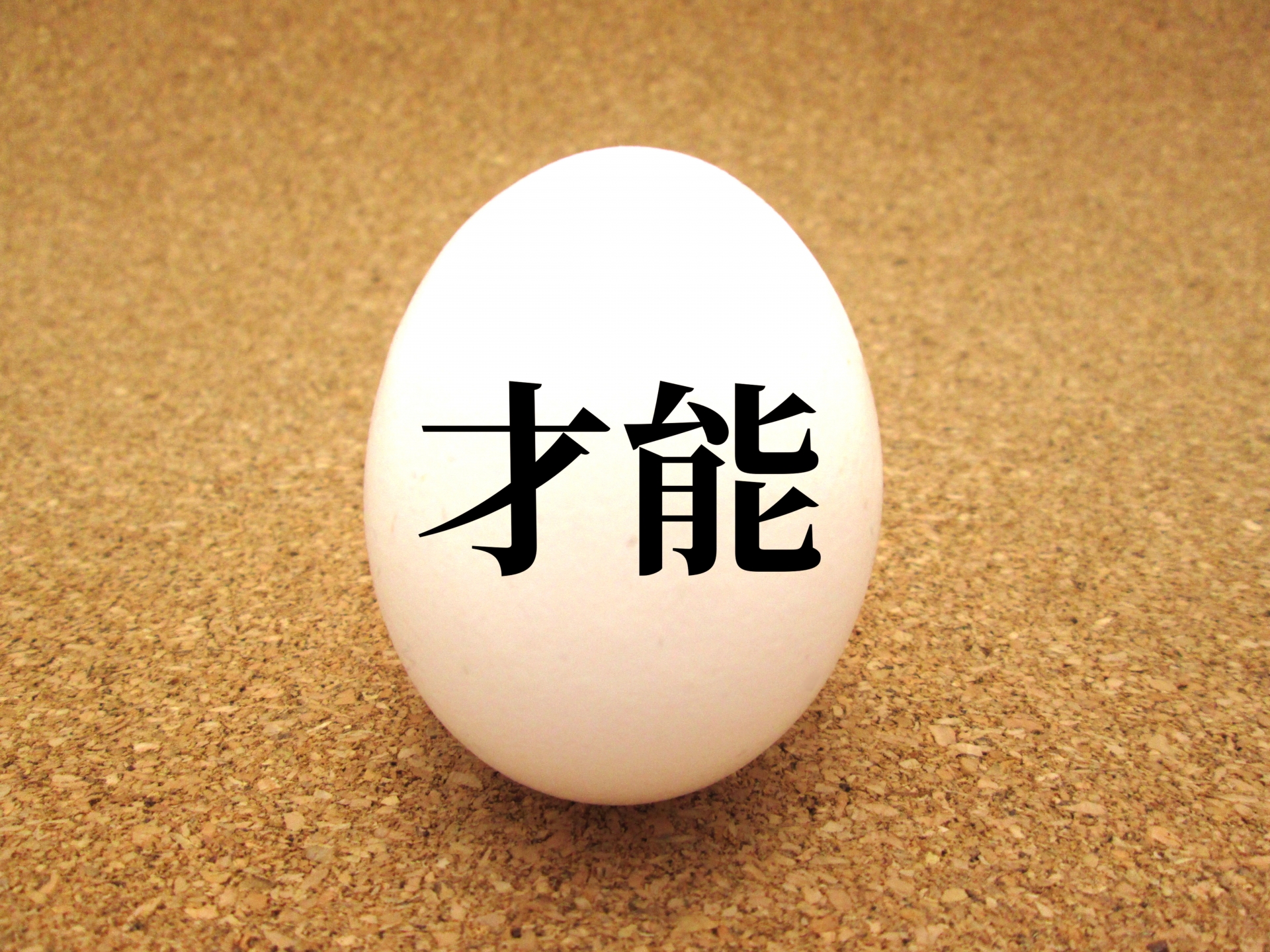 web、環境